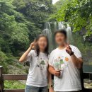 제주감귤농업협동조합중문지점 | [제주] "유니클로 서귀포점" 제주 한정 티셔츠 내돈내산 후기, 커스텀 웨이팅 꿀팁까지
