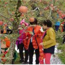 평광농장 이미지