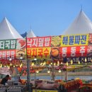 만봉불화박물관 | 강원도 영월 단종문화제 직접 다녀온 후기(아이랑 가볼 만한 봄 축제 추천)
