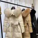 더블유제이 이미지