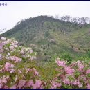 100대명산기행 연인산 산나물,철쭉축제(5/10) 이미지