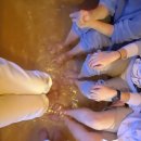 스테이 소유 이미지