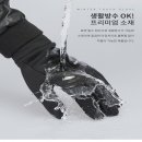 포케이 이미지