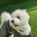 베베꽁 유치원호텔 이미지