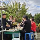 터무니하우스 이미지