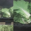 청과야채식품관 이미지