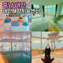 편백치유센터 화장실 1층 | 태안 실내 가볼만한곳 태안해양치유센터 겨울 놀거리