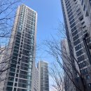 지에스(GS)25 개포자이 | 강남 로또 청약 떴다? 디에이치자이개포 줍줍 20억 로또 정리