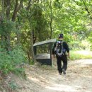 성은주유소 이미지