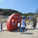 솔숲과바다 이미지