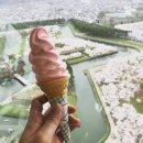 한일방역소독