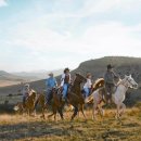 카우보이 이미지