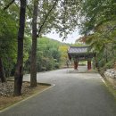 (특강)추억을 담는, 여행 드로잉 | 천년 고찰에 내려앉은 황금빛 시간 익산 숭림사 감성여행