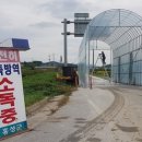 파주양돈단지(3) 이미지