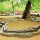 신덕1호 이미지