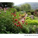 아침고요펜션