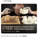 요아정만두 먹방 이미지