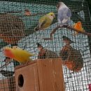 자일랜드 이미지