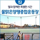 양평종합운동장(인라인장) 이미지