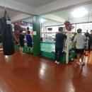 중화 권투체육관 이미지