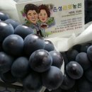 송산포도은성농원