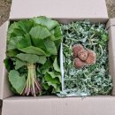 읍내맥주 이미지