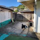 두모가J 이미지