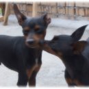 전통한옥민박 이미지