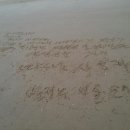 천마여행 이미지