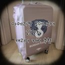 브로위즈 | 아메리칸투어리스터 프론텍 25인치 스판 캐리어 커버 내돈내산 구매후기 추천