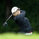 앨리스골프클럽 이미지