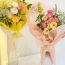 주정차046 이미지