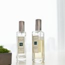 우먼앤짐 | 조말론 블랙베리 앤 베이 단독의 아쉬움｜피오니 레이어드로 해결한 7년 후기