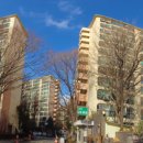 서초중앙공인중개사사무소 이미지