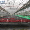 서석초 항곡분교장 이미지