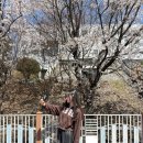 한아름다방 | 4. 변하지 않는 것이 있다면 나는 그것을 영원히 사랑할거야