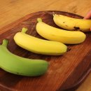 (주)바나나10 이미지