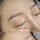 보르다 스튜디오