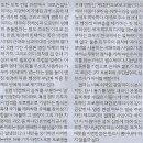 516로 Daum카페