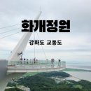 대풍목장 | 강화도 교동도 당일치기 여행 후기 _ 대룡시장과 화개정원 방문
