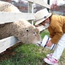 청계목장 이미지