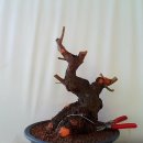 한솔농원 이미지