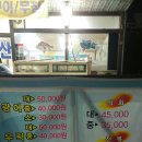등대수산횟집 이미지