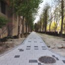 국화라이프 이미지