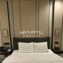 알파시티1로 40길 | [대구 수성구] 대구 호캉스 , 대구삼성라이온즈 파크 근처 호텔추천 | "더 아르코 호텔" 숙박 후기