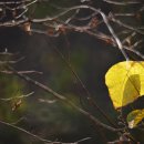 예상을 깨뜨려라 팀보다 위대한 선수는 없다 이미지