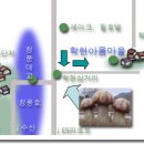 학현마을 이미지