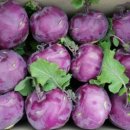 현우농장 이미지