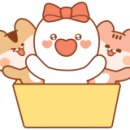 S.O 휘트니스 이미지