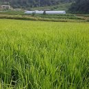 물안골농장 이미지